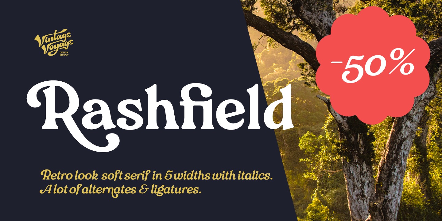 Przykład czcionki VVDS Rashfield Bold Italic